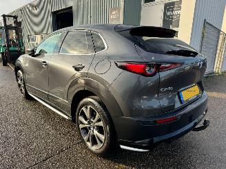 Mazda CX-30 2.0 e-SkyActiv-X M Hybrid Luxury picture 3