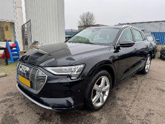 škoda osobní automobily Audi E-tron e-tron 50 quattro Launch edition plus 71 kWh 2019/12