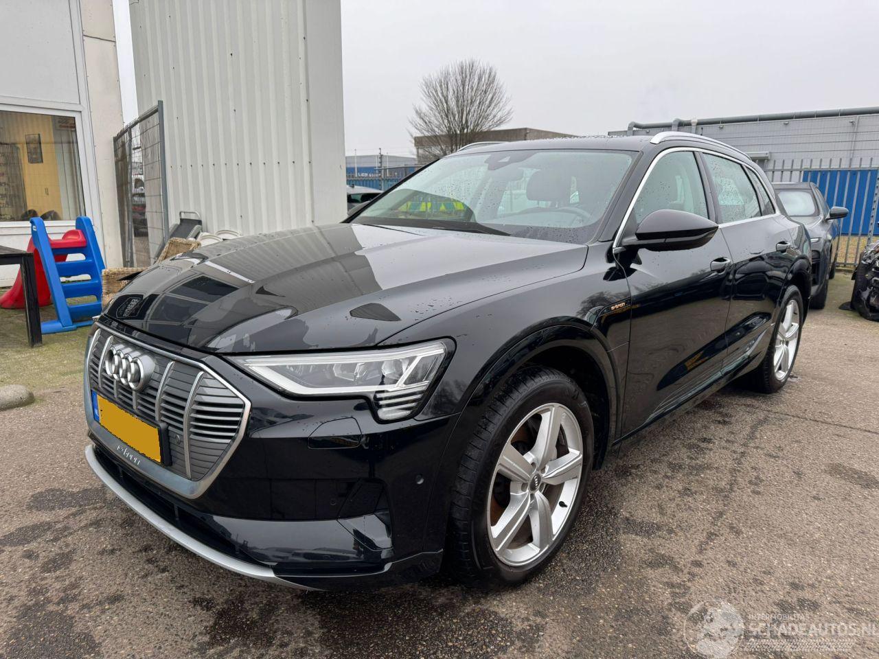 Audi E-tron e-tron 50 quattro Launch edition plus 71 kWh 313 PK
