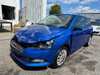 Voiture accidenté Skoda Fabia 1.0 TSI Ambition 2021/1