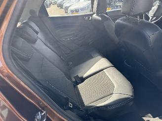 Ford EcoSport 1.0 EcoBoost Titanium picture 10