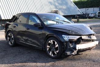 Audi E-tron e-tron (GEN), SUV, 2018 / 2023 55 quattro picture 1