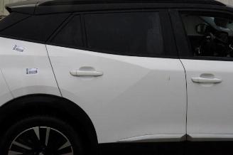 Peugeot 2008 2008 (UD/UK/UR/US/UX), MPV, 2019 1.2 VTi 12V PureTech 100 picture 23