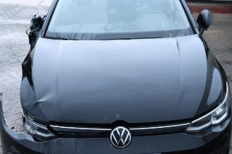 Volkswagen Golf Golf VIII (CD1), Hatchback, 2019 1.0 TSI 12V picture 21