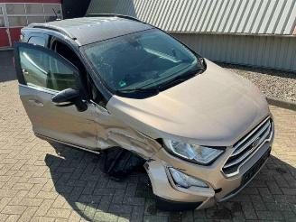 Ford EcoSport EcoSport (JK8), SUV, 2013 1.0 EcoBoost 12V 125 picture 9