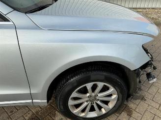 Audi Q5 Q5 (8RB), SUV, 2008 / 2017 2.0 TFSI 16V Quattro picture 29