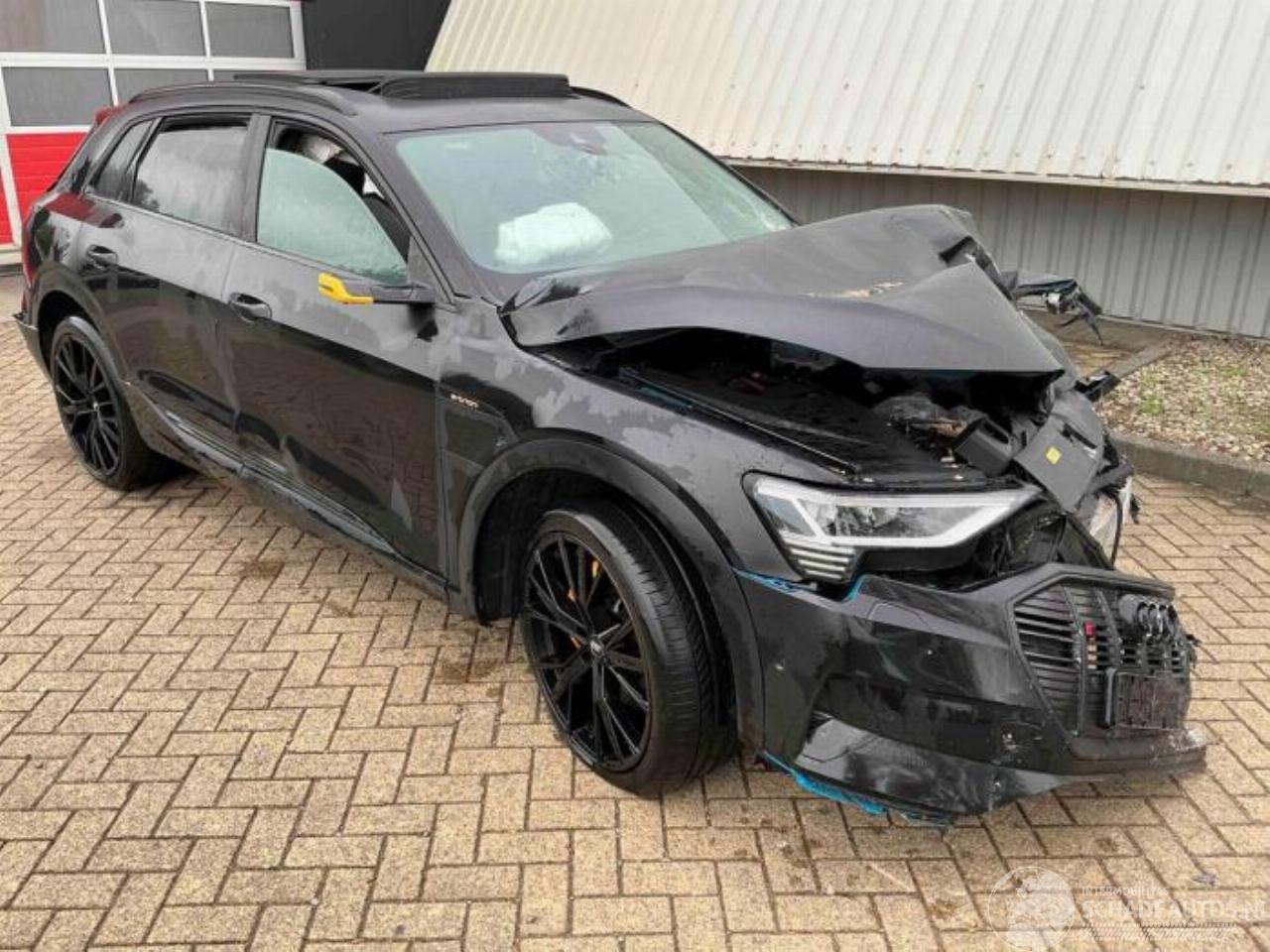 Audi E-tron E-tron (GEN), SUV, 2018 55 quattro