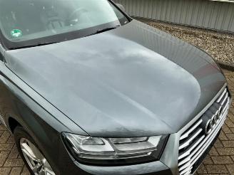 Audi Q7 Q7 (4MB/4MG), SUV, 2015 3.0 TDI V6 24V e-tron plug-in hybrid picture 15