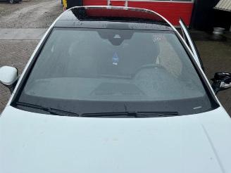 Volkswagen Golf Golf VIII (CD1), Hatchback, 2019 1.4 GTE 16V picture 29