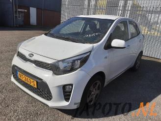 Salvage car Kia Picanto Picanto (JA), Hatchback, 2017 1.0 12V 2017/7