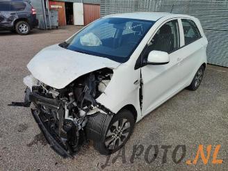 Salvage car Kia Picanto Picanto (TA), Hatchback, 2011 / 2017 1.0 12V 2016/11