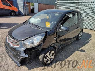 Salvage car Kia Picanto Picanto (TA), Hatchback, 2011 / 2017 1.0 12V 2013/4