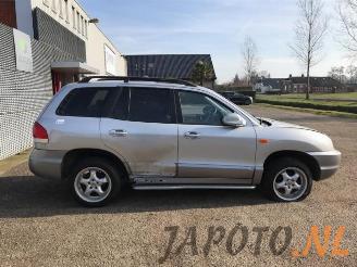 Hyundai Santa Fe Santa Fe I, SUV, 2000 / 2006 2.0 16V 4x2 picture 5