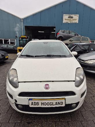 Salvage car Fiat Punto III (199) Hatchback 1.3 JTD Multijet 80 16V (199.B.8000) [59kW] 5-BAK 2015/1