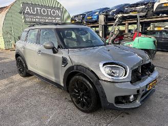damaged passenger cars Mini Countryman 1.5 75KW Autom. Pano Clima Navi Dutch Made Edition Led 2019/9