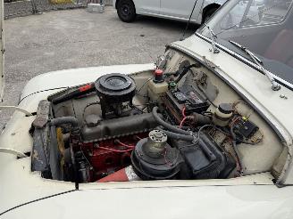 Volvo PV-544 C kattenrug picture 14