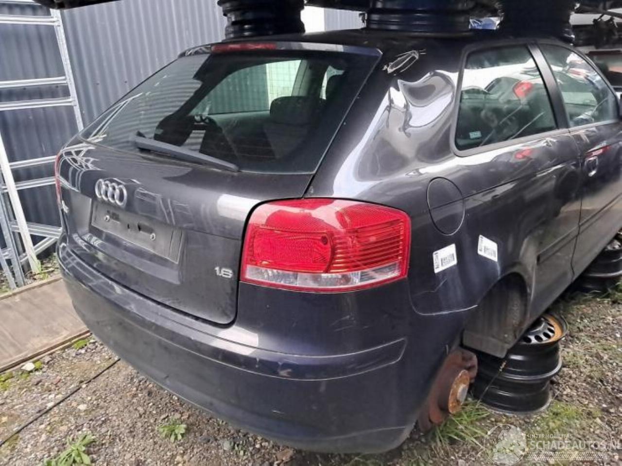 Audi A3 A3 (8P1), Hatchback 3-drs, 2003 / 2012 1.6