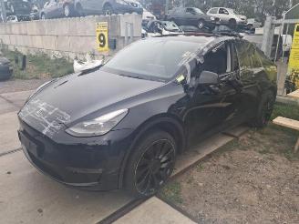 skadebil auto Tesla Model Y Model Y (5YJY), SUV, 2019 / 2025 Long Range,Performance 2022/9