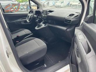 Opel Combo Combo Cargo, Van, 2018 1.6 CDTI 75 picture 16