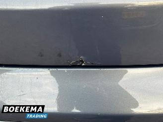 Renault Avantime 2.0 16V Turbo Dynamique Navi Climate Glazen dak Trekh. picture 8