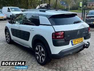 Citroën C4 cactus 1.2 PureTech Shine Virtual Navi Climate Cruise PDC picture 3