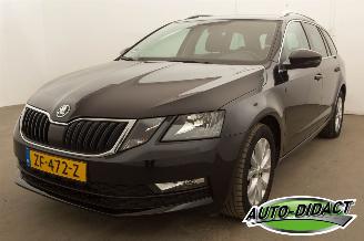 Avarii autoturisme Skoda Octavia Combi 1.0 TSI Automaat Greentech Ambition Business 2019/5