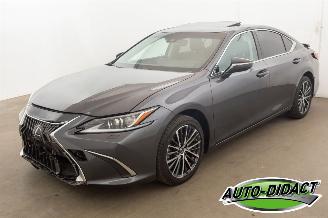 Schadeauto Lexus ES 300 Hybrid 33.094 km Carpas Clima Navi Leder Camera 2023/5