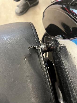 Harley-Davidson Sportster 22.295 km picture 24