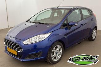 Avarii autoturisme Ford Fiesta 1.0 EcoBoost 119.381 km Airco Titanium 2016/9