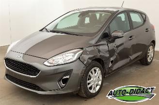 Vaurioauto  passenger cars Ford Fiesta 1.0 Airco 2019/9