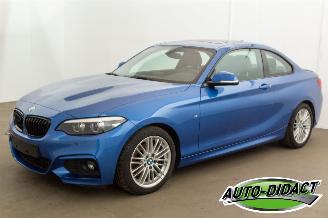 skadebil auto BMW 2-serie 218d Automaat Leder Navi Schuifdak 2019/7