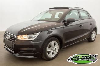 Unfallwagen Audi A1 1.0 TFSI Pano Navi Airco 2017/6