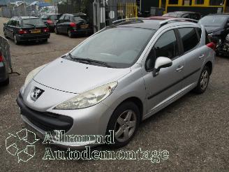  Peugeot 207 207 SW (WE/WU) Combi 1.4 16V Vti (EP3(8FS)) [70kW]  (06-2007/10-2013) 2009