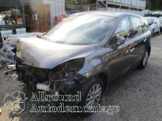  Renault Scenic Grand Scénic III (JZ) MPV 1.4 16V TCe 130 (H4J-700(H4J-A7)) [96kW]  =
(02-2009/12-2016) 2010