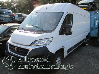 Uttjänta bilar auto Fiat Ducato Ducato (250) Van 2.3 D 130 Multijet (F1AGL411D(Euro 6)) [96kW]  (08-20=
06/...) 2017/3