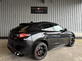 Alfa Romeo Stelvio Quadrifoglio Q4 Carbon / Pano / VOLL picture 6
