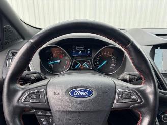 Ford Kuga ST-Line Navigation / R-Kamera / AHK picture 17