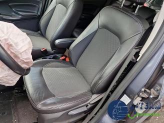 Ford EcoSport EcoSport (JK8), SUV, 2013 1.0 EcoBoost 12V 125 picture 21