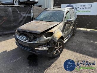 Ssang yong Rexton Rexton W, SUV, 2012 / 2017 2.2 RX 220 E-XDI 16V 4WD picture 3