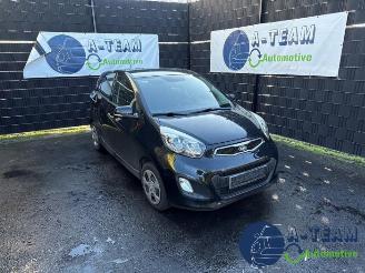 Coche siniestrado Kia Picanto Picanto (TA), Hatchback, 2011 / 2017 1.0 12V 2011/9
