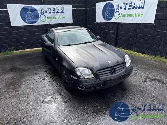 disassembly passenger cars Mercedes SLK SLK (R170), Cabrio, 1996 / 2004 2.0 200 16V 1998/2