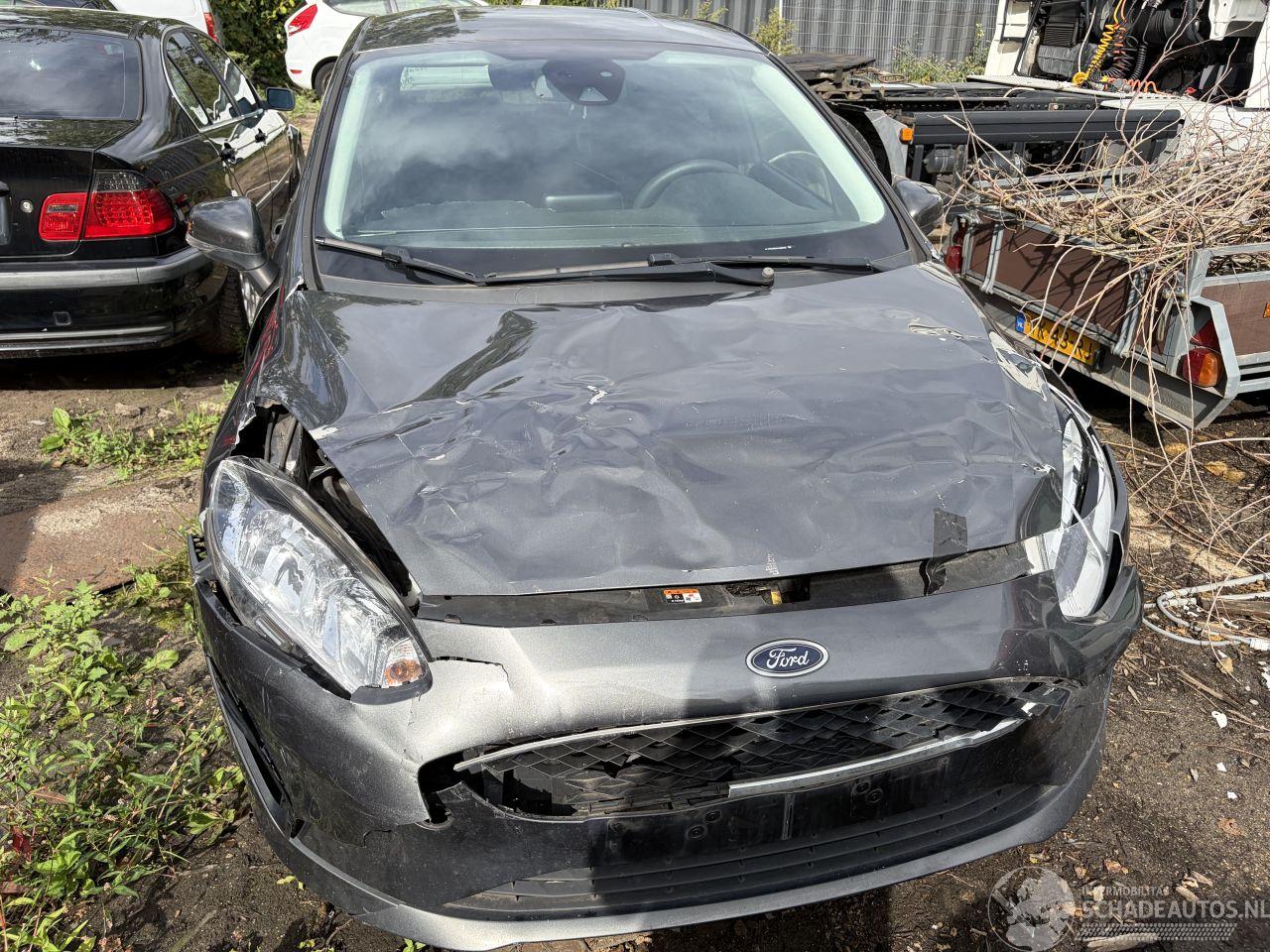 Ford Fiesta diversen