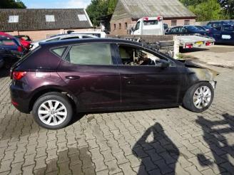 Seat Leon  picture 2