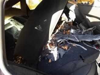 Seat Leon  picture 17