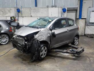 Salvage car Kia Picanto Picanto (TA) Hatchback 1.0 12V (G3LA) [51kW]  (05-2011/06-2017) 2013/9