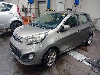 Dezmembrări autoturisme Kia Picanto Picanto (TA) Hatchback 1.0 12V (G3LA) [51kW]  (05-2011/06-2017) 2013