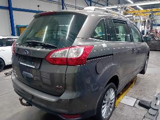 Ford Grand C-Max Grand C-Max (DXA) MPV 1.0 Ti-VCT EcoBoost 12V 125 (M1DA(Euro 5)) [92kW=
]  (10-2012/06-2019) picture 3