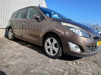 Renault Scenic Grand Scénic III (JZ) MPV 1.4 16V TCe 130 (H4J-700(H4J-A7)) [96kW]  =
(02-2009/12-2016) picture 6