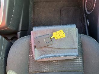 Renault Scenic Grand Scénic III (JZ) MPV 1.4 16V TCe 130 (H4J-700(H4J-A7)) [96kW]  =
(02-2009/12-2016) picture 17