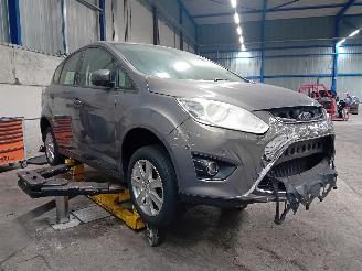 Ford C-Max C-Max (DXA) MPV 1.0 Ti-VCT EcoBoost 12V 100 (M2DA(Euro 5)) [74kW]  (10=
-2012/06-2019) picture 2
